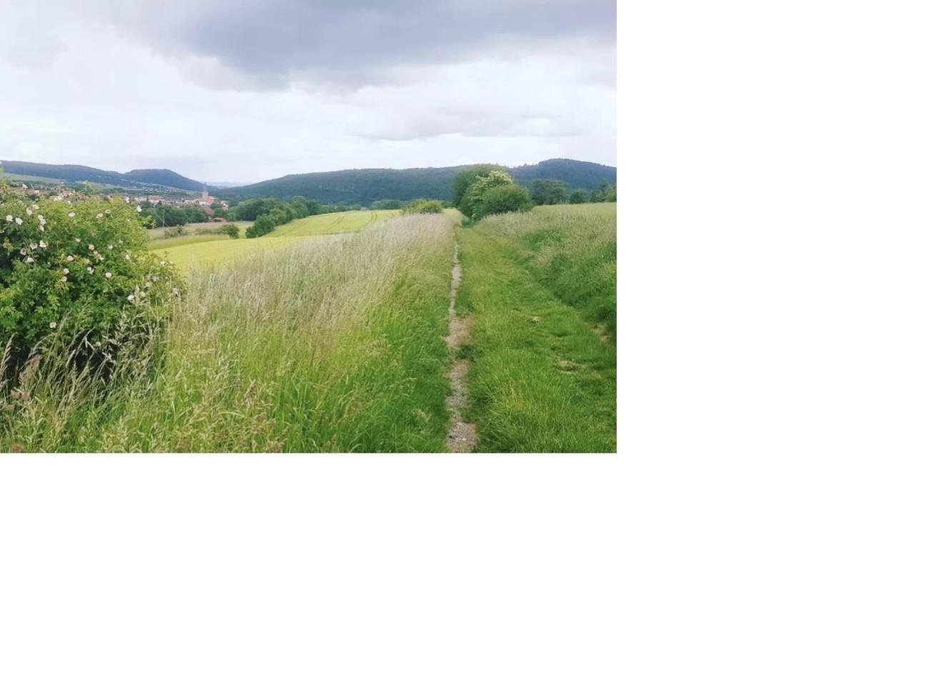 Aussergewoehnliche Auszeit - Metime1 Felsberg Екстериор снимка